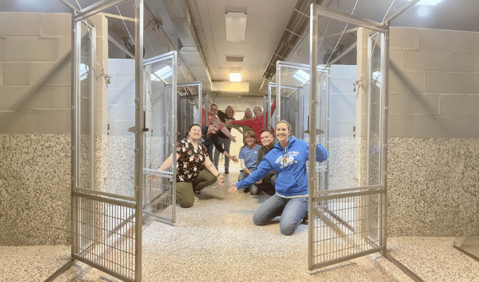 Refugio de Animales en Pennsylvania Celebra sus Compartimentos Vacíos