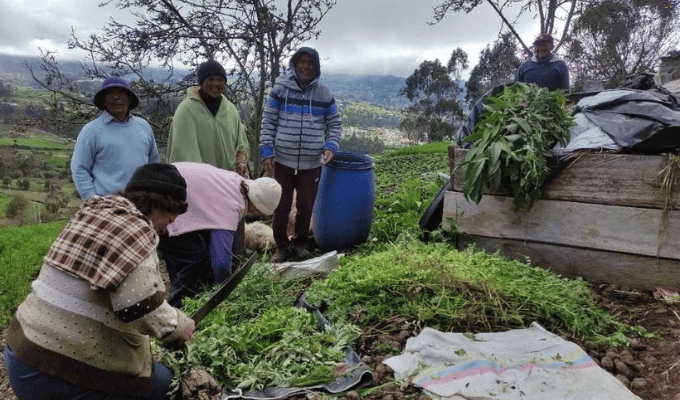 Tungurahua: Innovación Agropecuaria alcanza 17 mil asistencias en 2023
