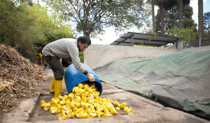 OLÉ Convierte Desperdicios en Oportunidades Agrícolas