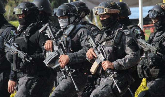 Ecuador y Brasil Unen Fuerzas: Plan de Intervención Policial