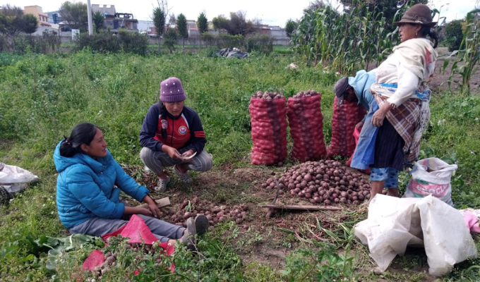 Feria Agroecológica de la Fundación Proyecto Salesiano abre sus puerta
