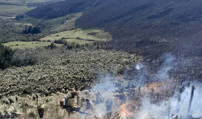 Carchi: Fuego Amenaza Biodiversidad en Reserva Ecológica El Ángel