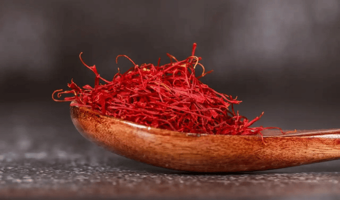 Conoce los 6 Alimentos que Harvard Aconseja para el Bien de tu Cerebro