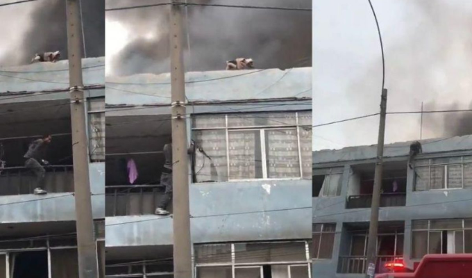 Joven salva a 25 perros en incendio en Perú 🇵🇪🔥