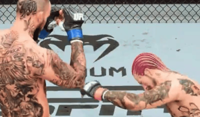 UFC Causa Revuelo: Sean O'Malley derrota a 'Chito' Vera en Simulación