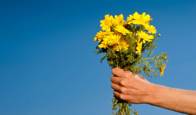 Tradición, Amor y Amistad: Flores Amarillas el 21 de Marzo