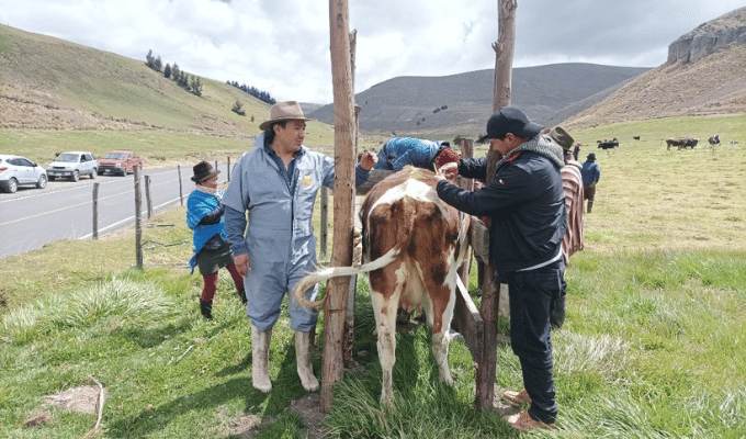 151 Productores de Tungurahua Beneficiados por el MAG
