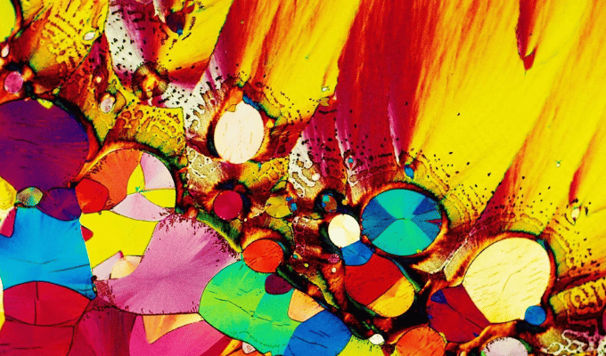 Serotonina: ¿El Secreto de la Felicidad o un Misterio por Resolver?