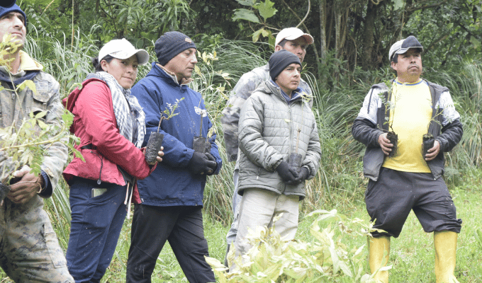 Huambaló: 2.000 Plantas Nativas Sembradas en Proyecto Ambiental
