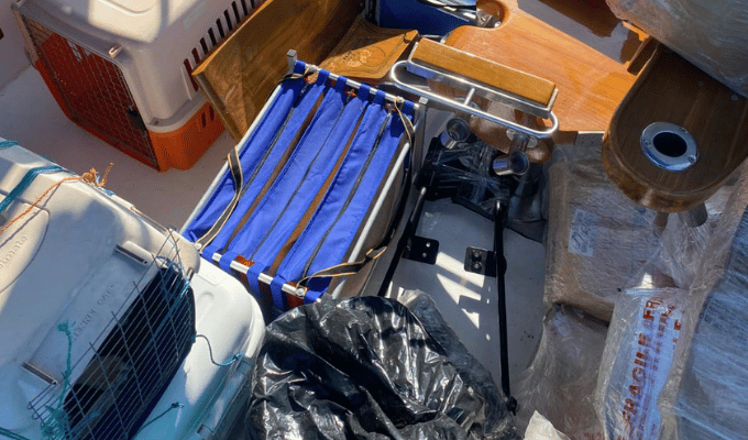Cinco perros y ocho gallos intentaban ingresar a Galápagos.