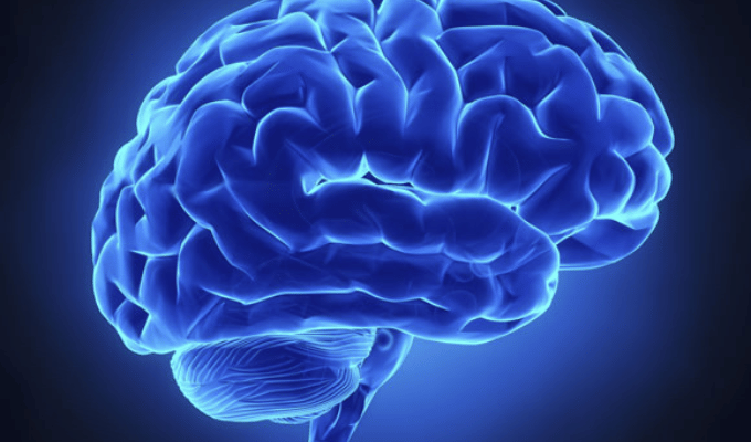 Las 10 Preguntas de Harvard que Revelan tu Inteligencia Emocional