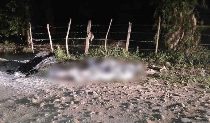 Palenque, Los Ríos: Cuatro jóvenes brutalmente asesinados