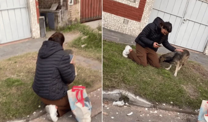 Una joven halla a su perro tras 3 años de búsqueda en Argentina