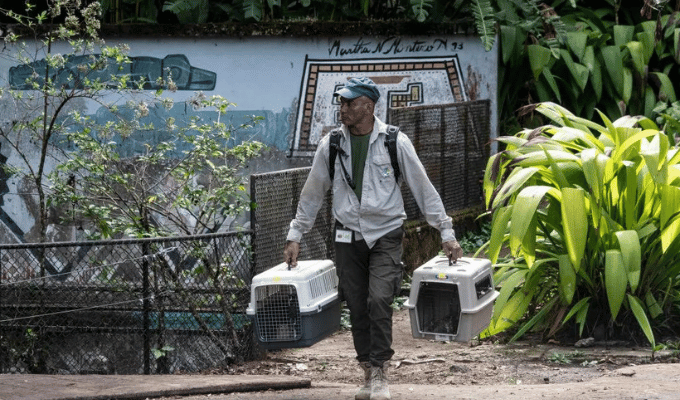 Costa Rica cierra zoológicos públicos tras nueva ley