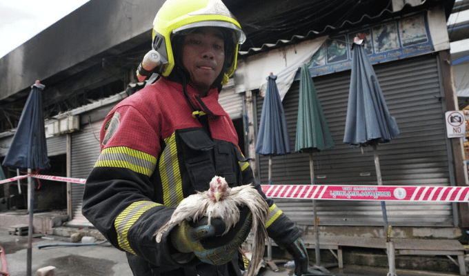 Cortocircuito fatal: Incendio destruye mercado de animales en Bangkok