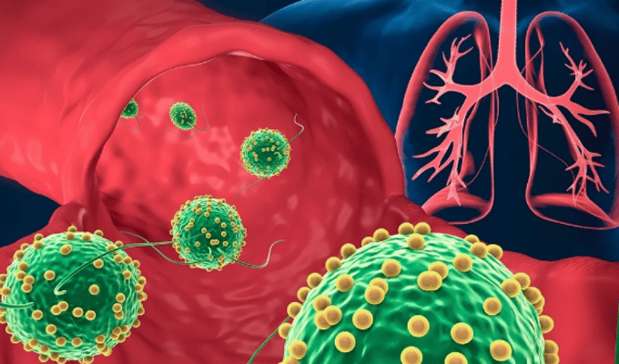 Microrobots que atacan el cáncer de pulmón ¡Descúbrelos!