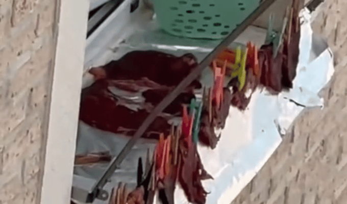 Mujer cuelga carne en balcón y genera polémica en TikTok