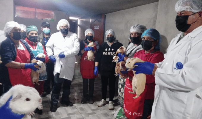 Empoderamiento femenino: Mujeres Semilla arrasa en El Quinche