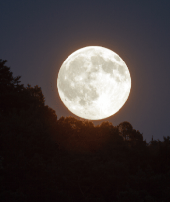 ¡No te pierdas la Luna de Ciervo este sábado en Ecuador!
