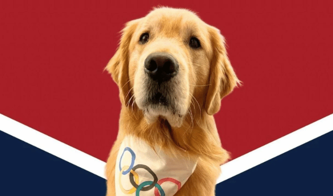 Beacon Puede Ir a París: ¡El Perro que Todos Quieren en los Olímpicos!
