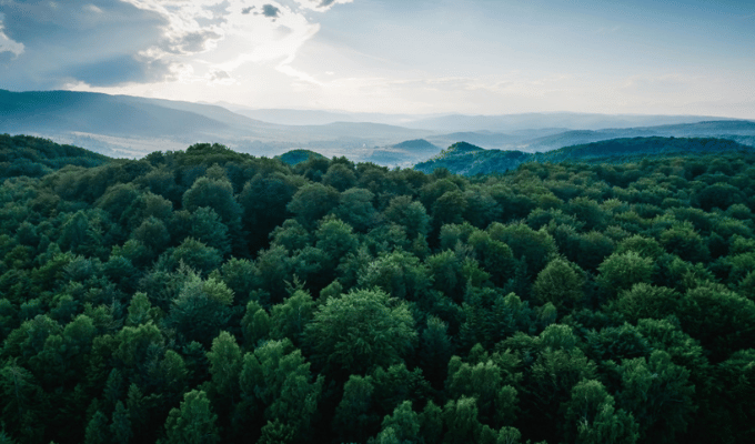 Plan Nacional reduce deforestación en 36% en Colombia