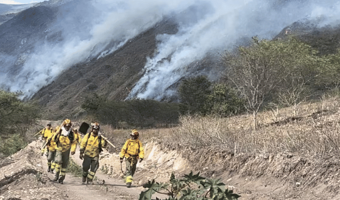 ¡Alarma en Azuay! Incendio destruye 850 hectáreas de vegetación