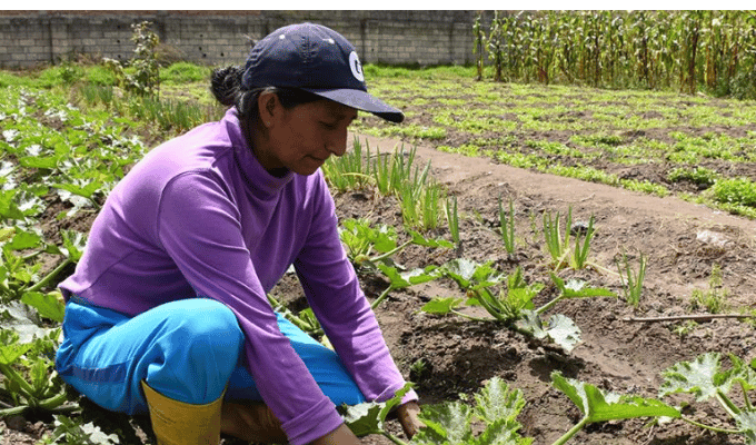 46 familias transforman su futuro con la agricultura