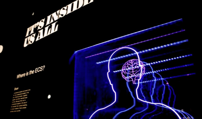 Científicos logran rejuvenecer ratones; ¿próximo paso, humanos?