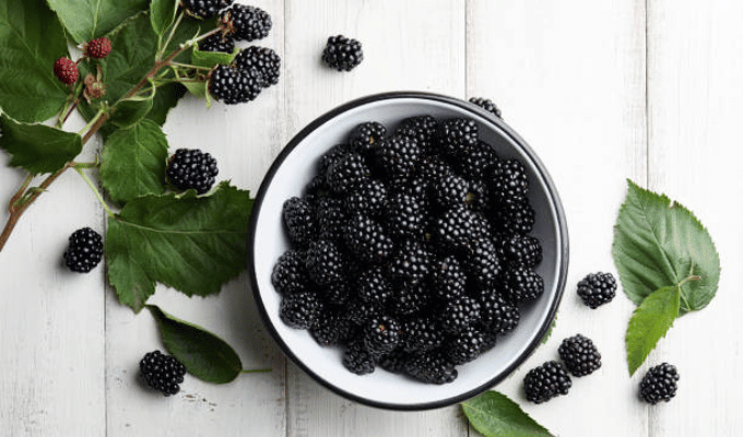 ¡Revela el poder oculto de las moras negras en tu dieta!