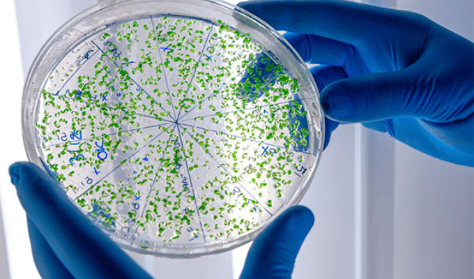Arcsa detecta contaminación peligrosa en productos de consumo masivo