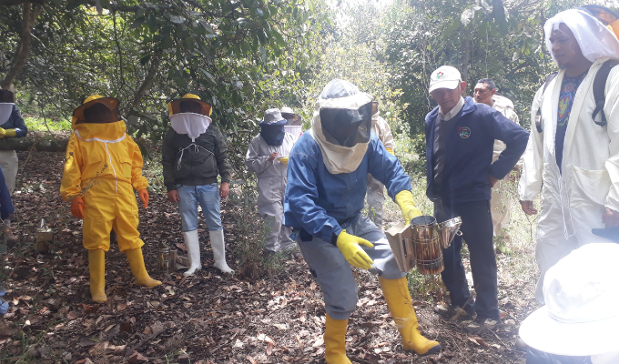 Innovación en Píllaro: 20 nuevos apicultores listos para producir