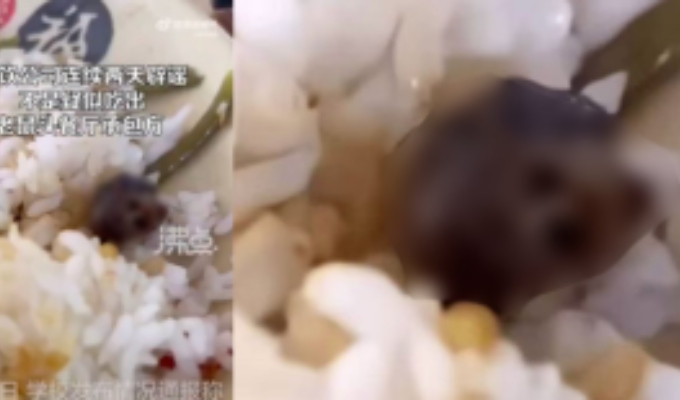 ¡Escándalo en China! Hallan cabeza de rata en comida de estudiante