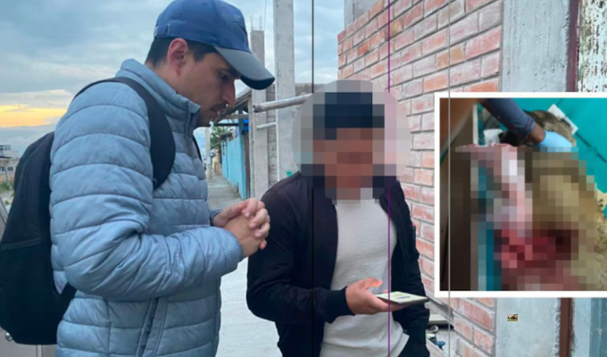 ¡Crueldad sin límites! Apuñalan a perrita en el norte de Quito