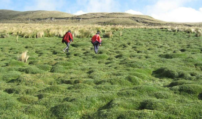 Tungurahua avanza en conservación con nuevos planes de páramos