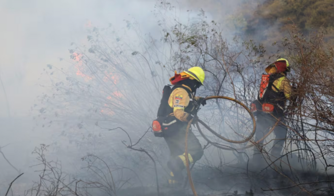 ¡Ecuador en llamas! Más de 20.000 animales muertos por incendios