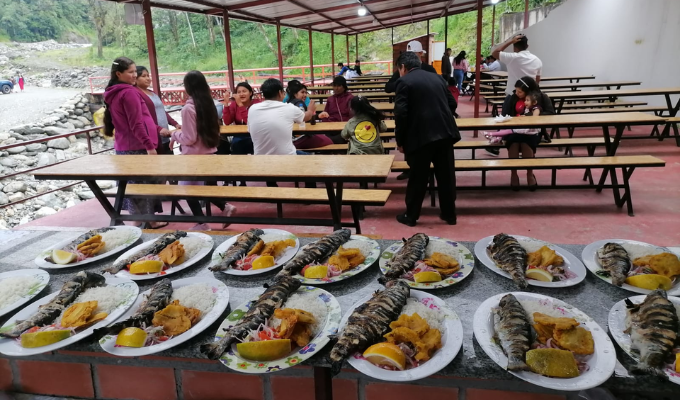 ¡No Solo Sabe Bien, También Alimenta! Los Beneficios de La Trucha