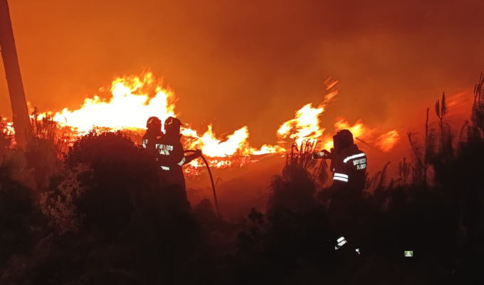 ¡Desastre en Quilanga! 10 mil hectáreas arrasadas por incendio