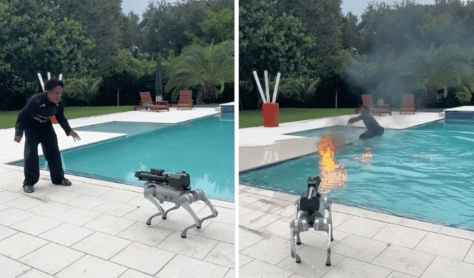 ¡Pánico en Twitch! El perro robot de Speed lo ataca con un lanzallamas
