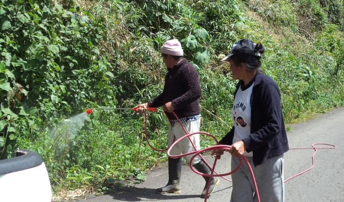 ¡Empleo y mejores caminos! Inversión vial en Tungurahua continúa