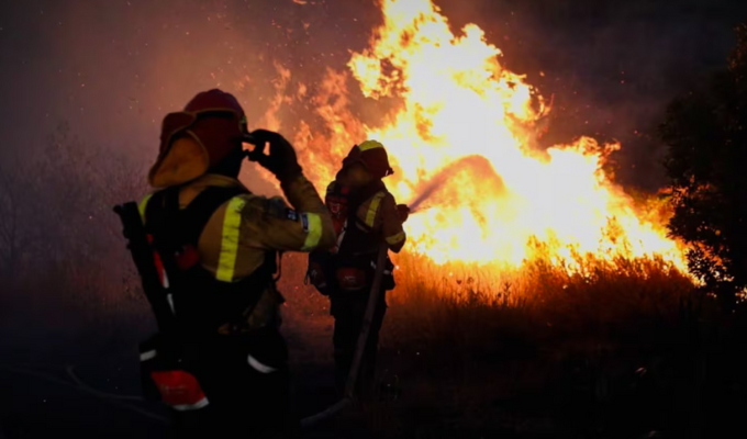¡Animales rescatados del fuego en Quito!