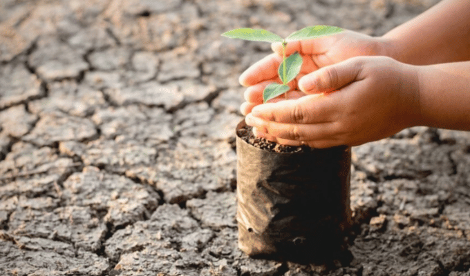 ¡Desastres naturales disparan pérdidas aseguradas en 2024!