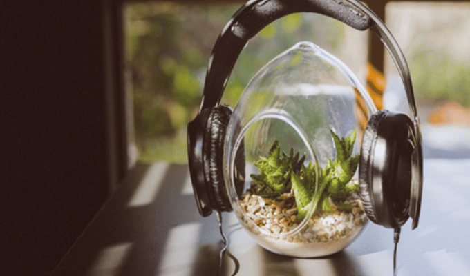 ¡La música podría hacer crecer tus plantas!