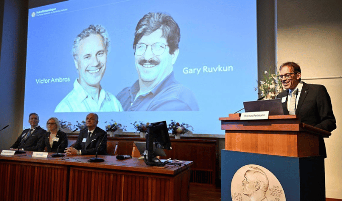 Científicos revelan el secreto del microARN y ganan Nobel