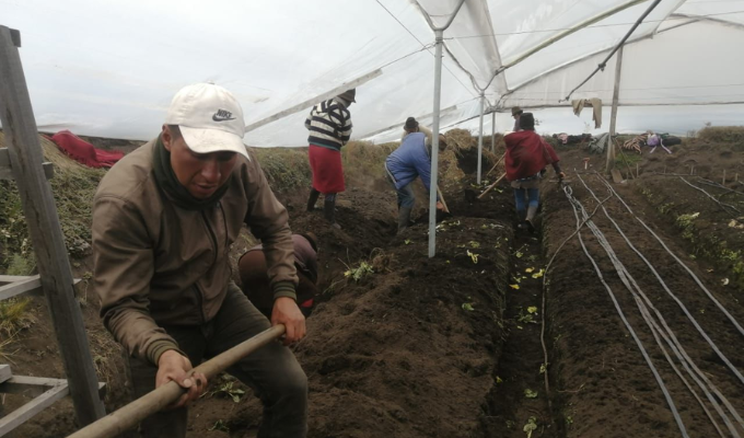 ¡Tungurahua avanza con 40 planes para salvar sus páramos!