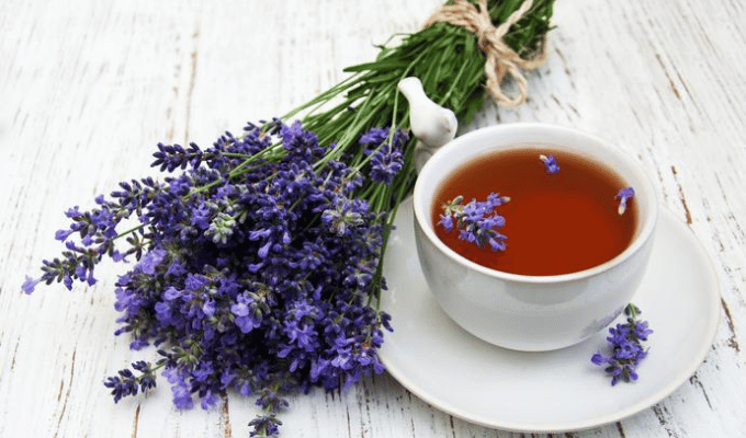 ¡Infusión milagrosa! Lavanda para calmar nervios y descansar mejor