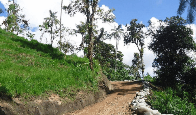 Conoce el Bosque Habitagua, fuente de vida para 100 mil personas