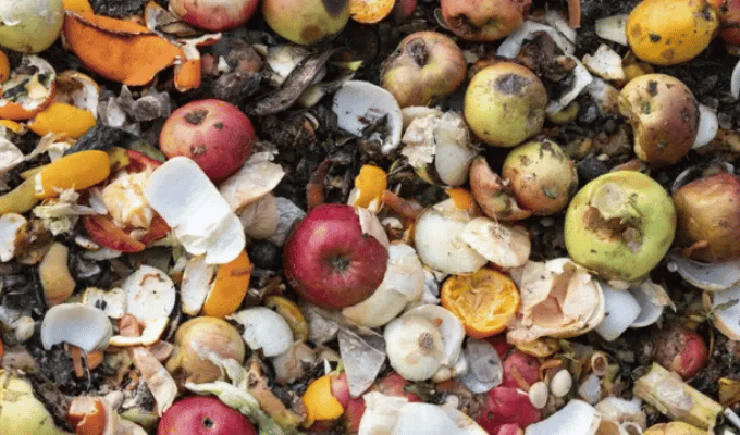 Desperdicio de alimentos en Ecuador: ¡Casi 100 kg por persona al año!