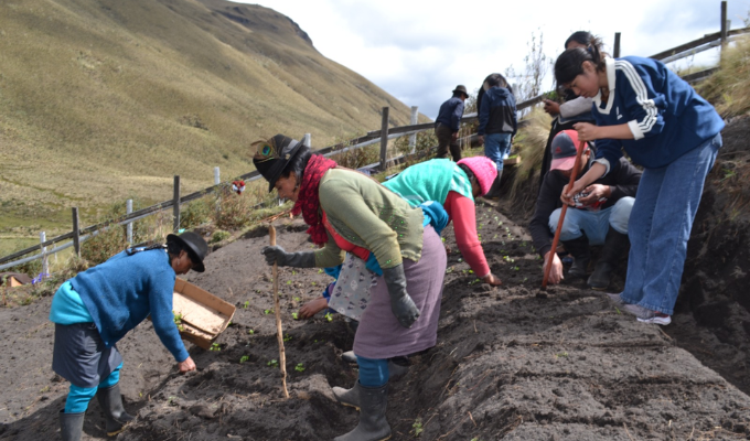 ¡Nuevo riego por goteo revoluciona agricultura en Pucutahua!