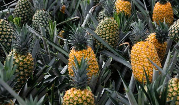 ¿Piña para dormir mejor? Esto dicen los expertos