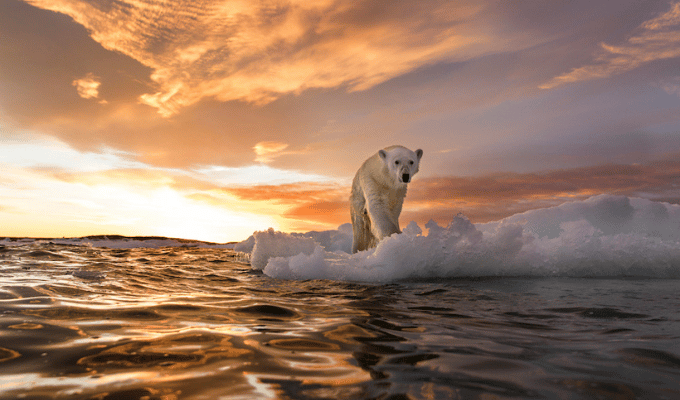 COP29: Última llamada para evitar un desastre global